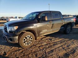 Salvage cars for sale from Copart Amarillo, TX: 2013 Toyota Tundra Crewmax SR5