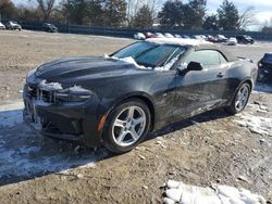 Chevrolet Camaro LS salvage cars for sale: 2019 Chevrolet Camaro LS