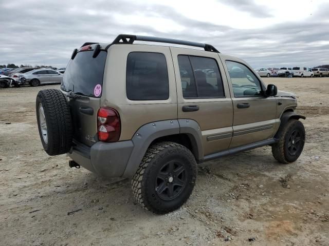 2005 Jeep Liberty Renegade