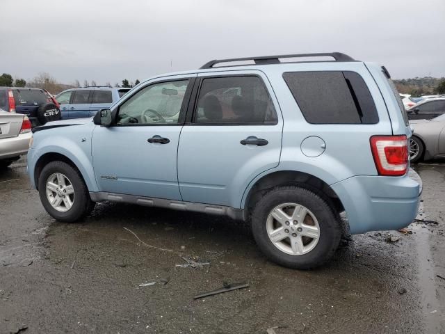 2008 Ford Escape HEV