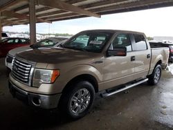 Salvage cars for sale from Copart Houston, TX: 2012 Ford F150 Supercrew