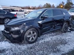 KIA Sorento LX salvage cars for sale: 2022 KIA Sorento LX