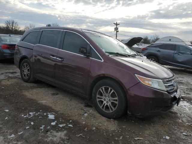 2013 Honda Odyssey EXL