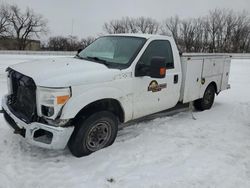 Vehiculos salvage en venta de Copart Des Moines, IA: 2015 Ford F250 Super Duty