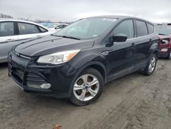 Salvage cars for sale at Cahokia Heights, IL auction: 2015 Ford Escape SE