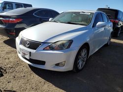 Salvage cars for sale from Copart Brighton, CO: 2009 Lexus IS 250