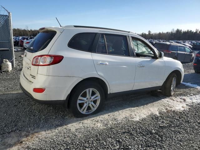 2010 Hyundai Santa FE SE