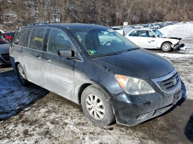 2008 Honda Odyssey EXL