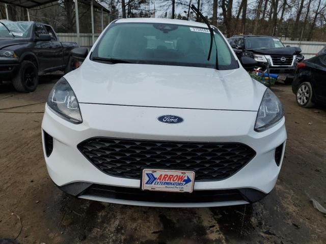 2020 Ford Escape S