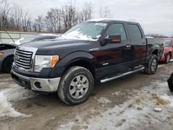 Salvage cars for sale from Copart Leroy, NY: 2012 Ford F150 Supercrew