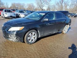 Toyota salvage cars for sale: 2009 Toyota Camry Base