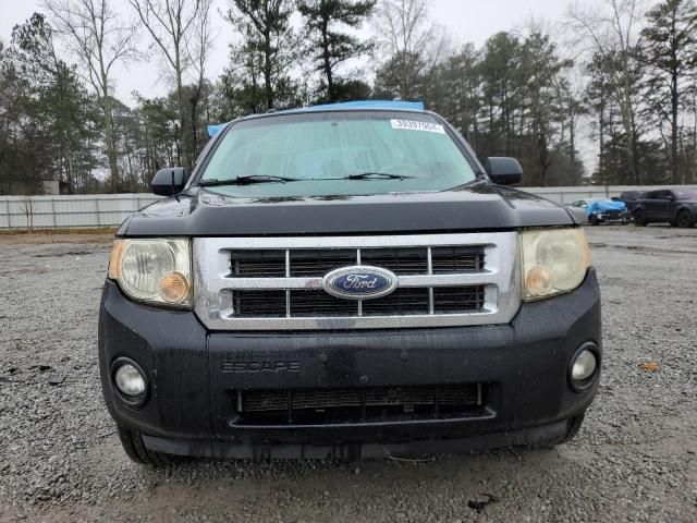 2008 Ford Escape XLT