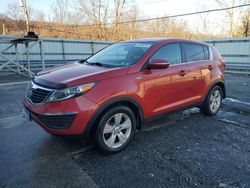 Salvage cars for sale at Grantville, PA auction: 2013 KIA Sportage LX