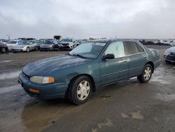 Toyota salvage cars for sale: 1996 Toyota Camry LE