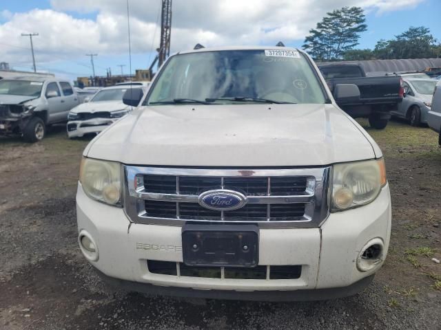 2009 Ford Escape XLT