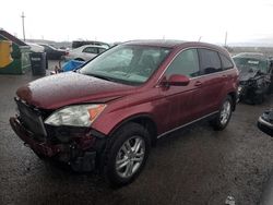 SUV salvage a la venta en subasta: 2010 Honda CR-V EXL