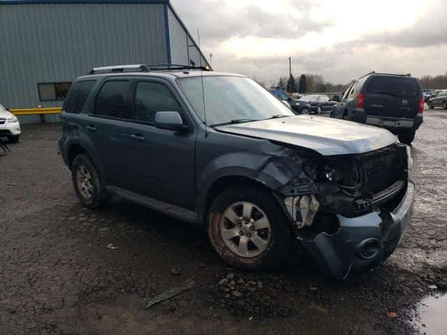 2010 Ford Escape Limited