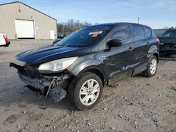 Salvage cars for sale from Copart Lawrenceburg, KY: 2013 Ford Escape S