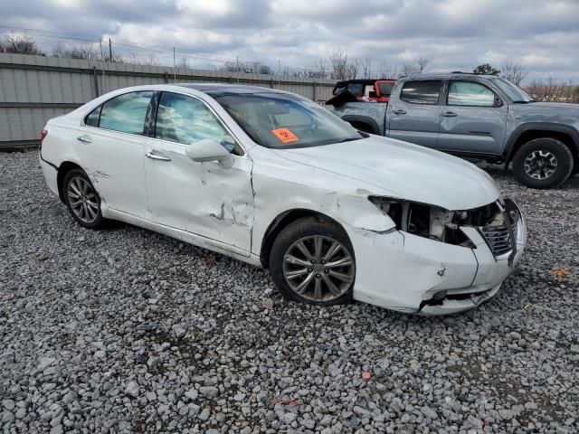 2008 Lexus ES 350