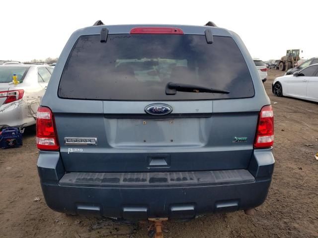 2010 Ford Escape XLT