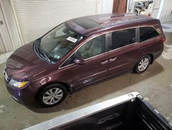 Salvage cars for sale at Ellwood City, PA auction: 2014 Honda Odyssey EXL