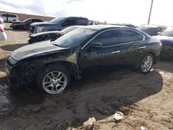 Salvage cars for sale at Albuquerque, NM auction: 2011 Nissan Maxima S