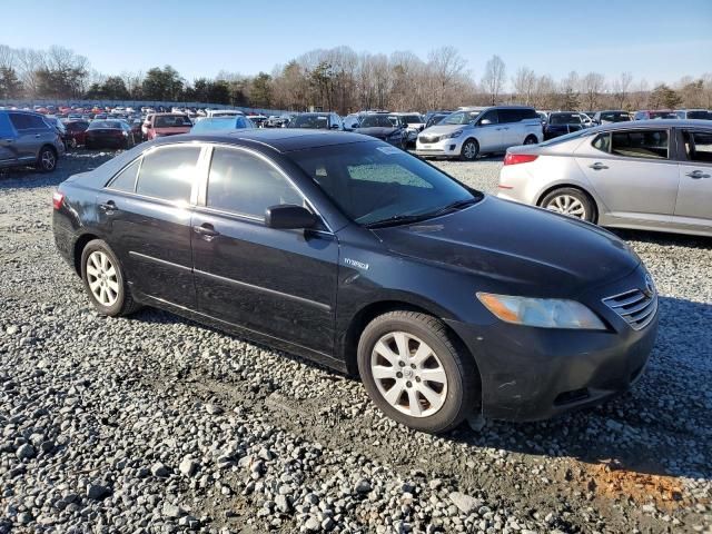 2009 Toyota Camry Hybrid