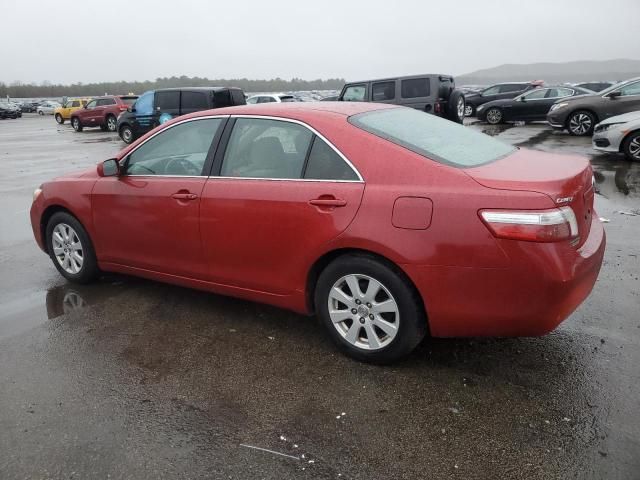 2009 Toyota Camry Hybrid