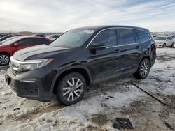 Honda Pilot EXL Vehiculos salvage en venta: 2020 Honda Pilot EXL