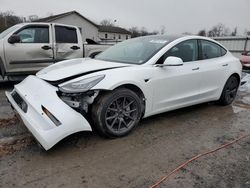 Salvage cars for sale from Copart York Haven, PA: 2020 Tesla Model 3