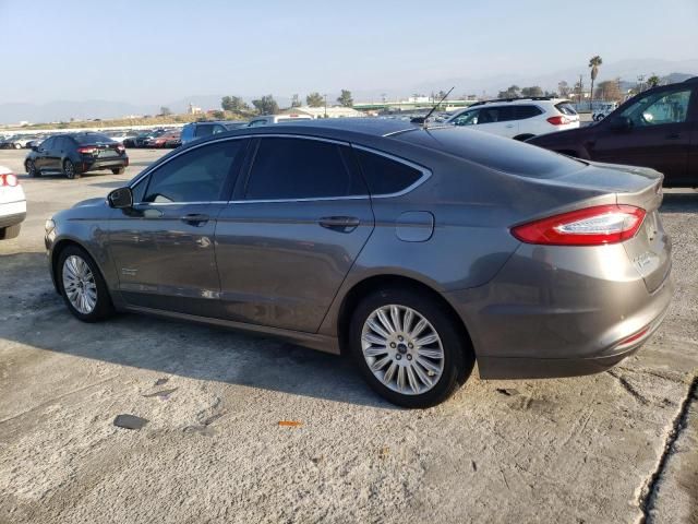 2014 Ford Fusion SE Phev