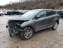 Ford salvage cars for sale: 2017 Ford Escape SE