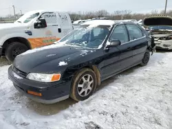 1995 Honda Accord EX en venta en Louisville, KY