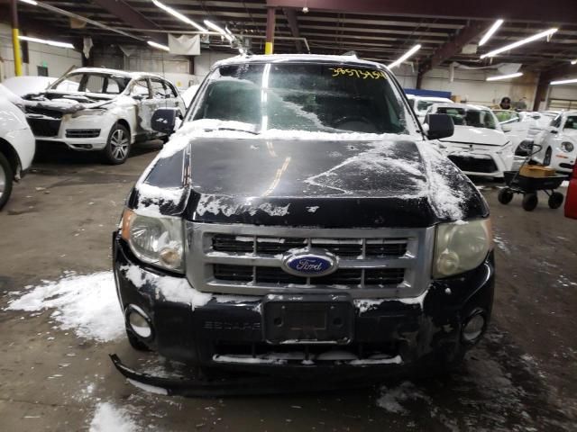 2011 Ford Escape XLT