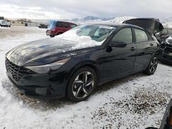 Salvage cars for sale at Magna, UT auction: 2023 Hyundai Elantra SEL