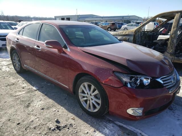 2010 Lexus ES 350