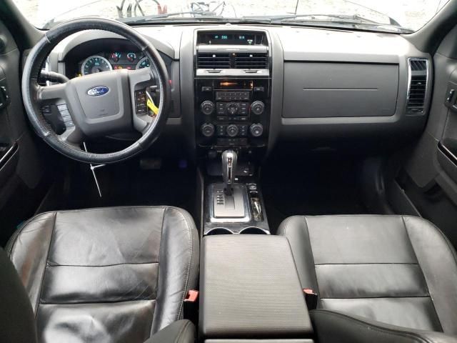 2010 Ford Escape Limited