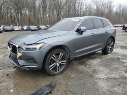 Salvage cars for sale from Copart Finksburg, MD: 2019 Volvo XC60 T5