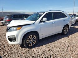 Salvage cars for sale from Copart Phoenix, AZ: 2013 KIA Sorento SX