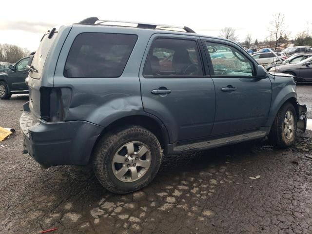 2010 Ford Escape Limited