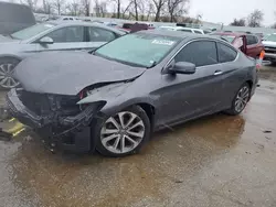 Honda Accord exl salvage cars for sale: 2014 Honda Accord EXL