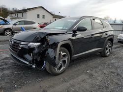 Salvage cars for sale from Copart York Haven, PA: 2024 Hyundai Tucson SEL