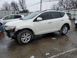 Nissan Murano salvage cars for sale: 2013 Nissan Murano S