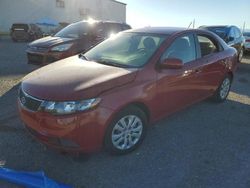 Vehiculos salvage en venta de Copart Tucson, AZ: 2013 KIA Forte EX