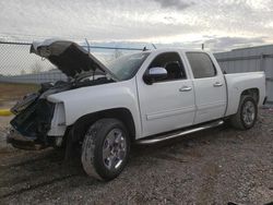 Salvage cars for sale from Copart Houston, TX: 2009 Chevrolet Silverado C1500