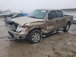 Salvage cars for sale at Cicero, IN auction: 2013 Ford F150 Supercrew