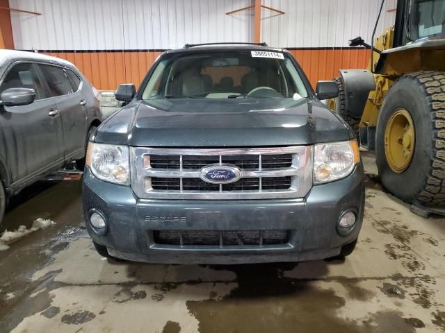 2008 Ford Escape XLT