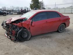 Salvage cars for sale from Copart Lexington, KY: 2013 Toyota Corolla Base