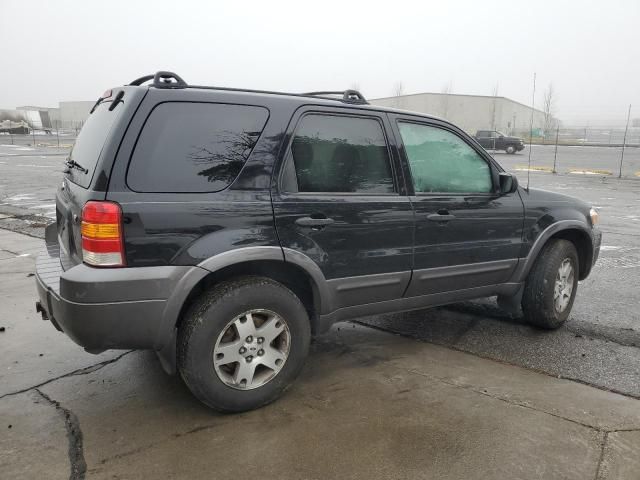 2005 Ford Escape XLT