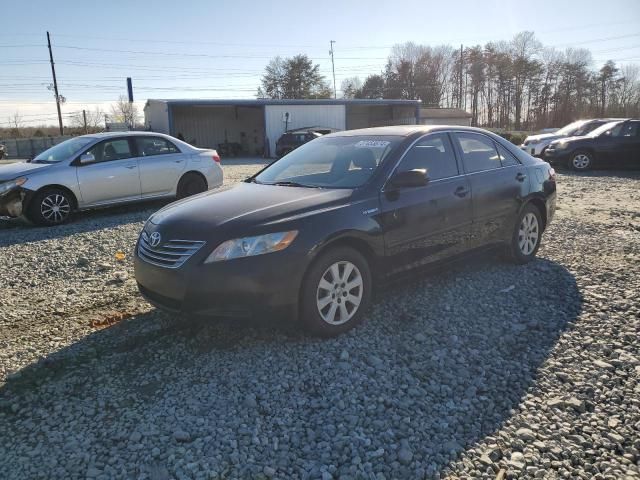 2009 Toyota Camry Hybrid